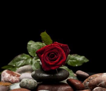 Endulzamiento con miel y canela