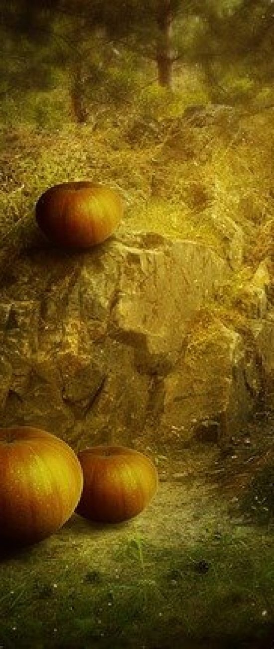 Ritual atraer el amor en halloween